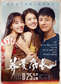 探病的爱人